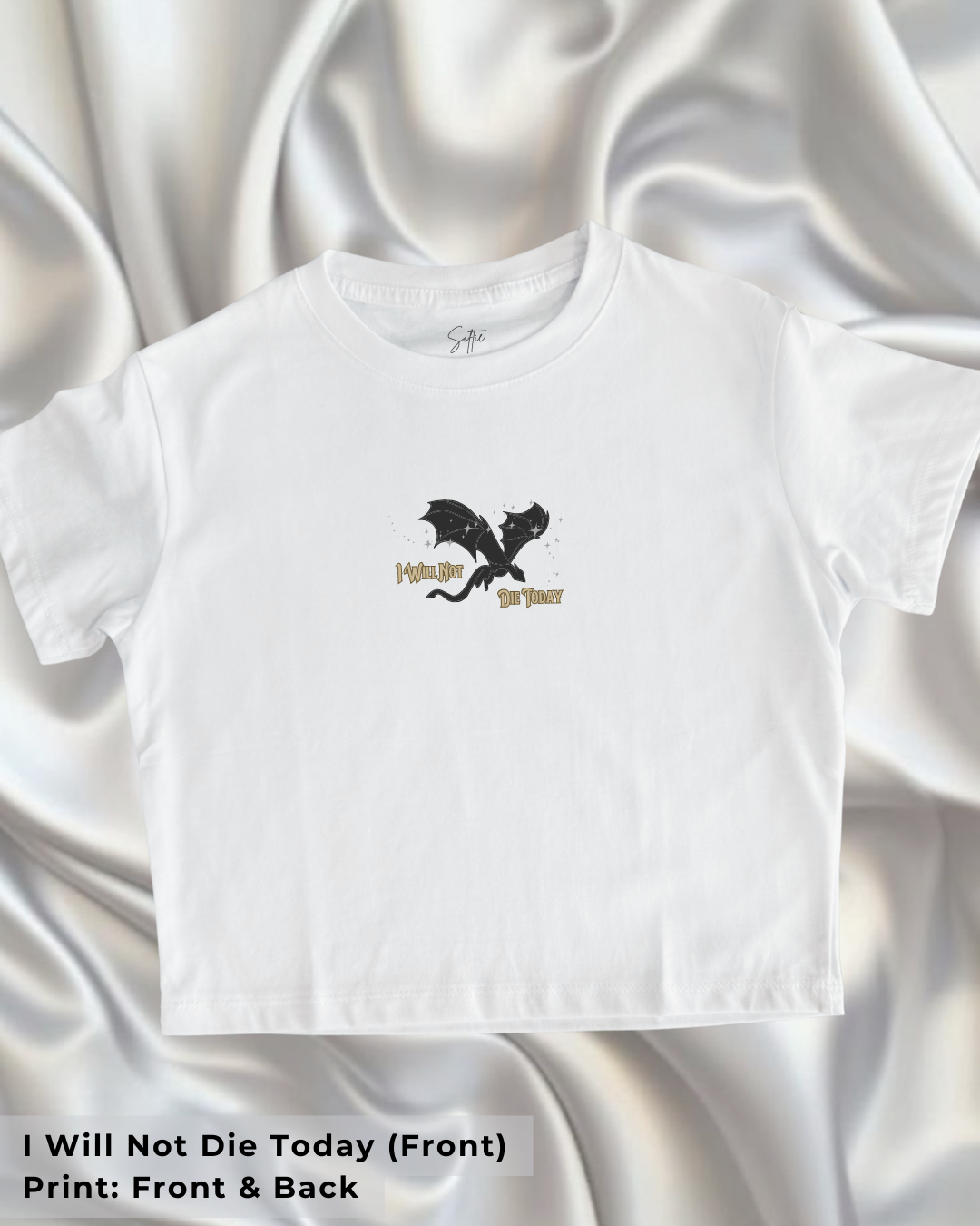 Fourth Wing | I will not die today | Tairn & Andarna